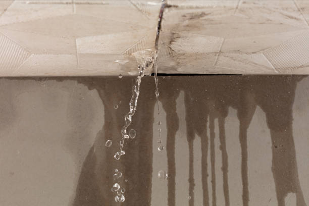 Professional Water Damage Repair technician working in Earth, TX